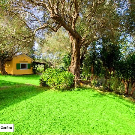 House In The Olive Garden Appartement Ágios Ioánnis Buitenkant foto