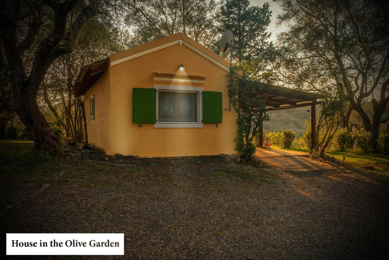 House In The Olive Garden Appartement Ágios Ioánnis Buitenkant foto