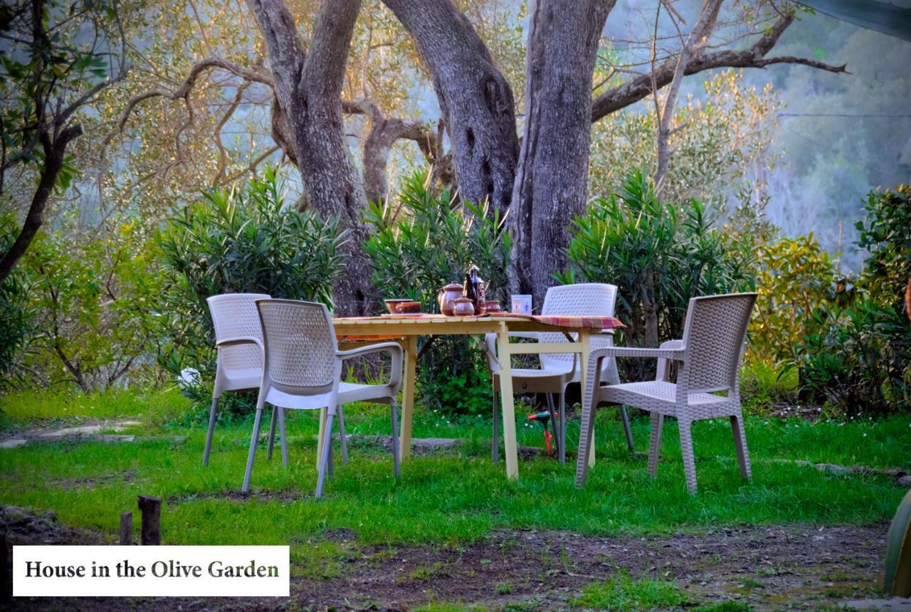 House In The Olive Garden Appartement Ágios Ioánnis Buitenkant foto
