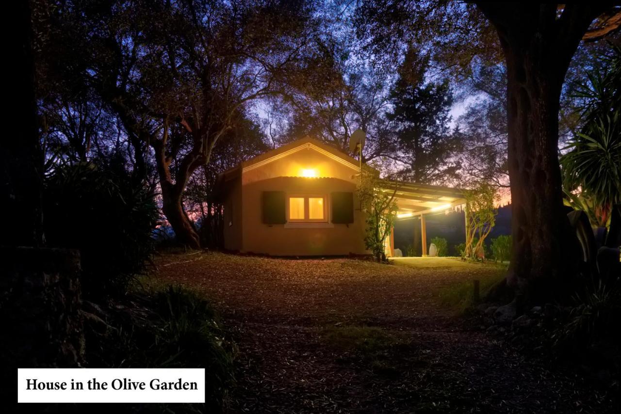 House In The Olive Garden Appartement Ágios Ioánnis Buitenkant foto