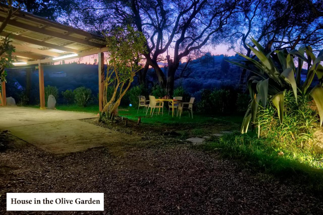 House In The Olive Garden Appartement Ágios Ioánnis Buitenkant foto