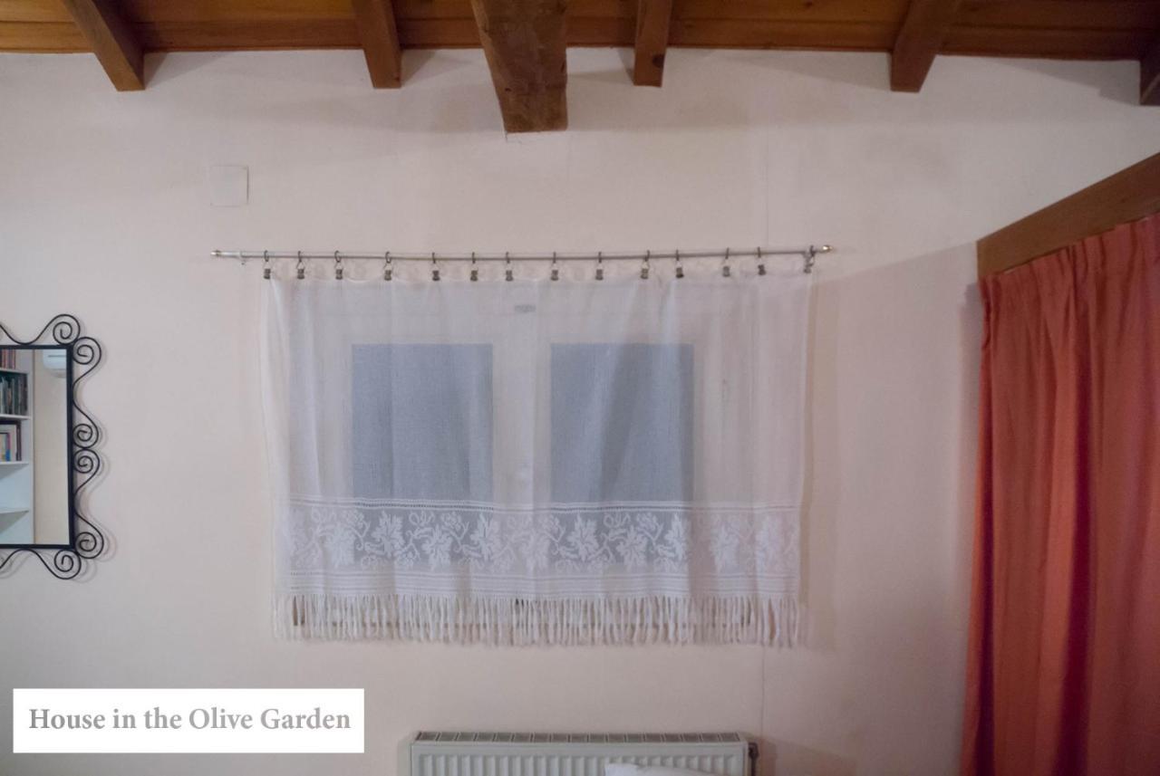 House In The Olive Garden Appartement Ágios Ioánnis Buitenkant foto