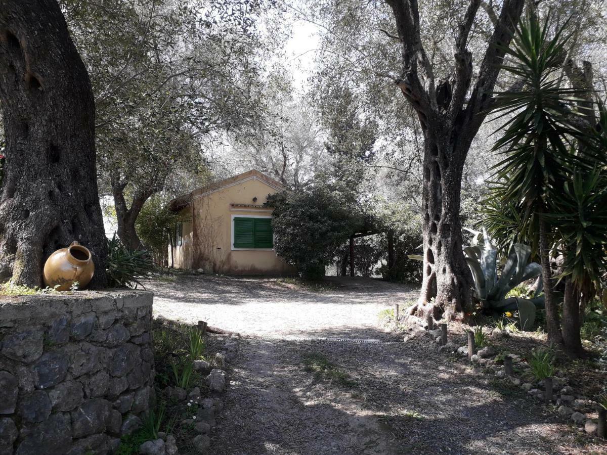 House In The Olive Garden Appartement Ágios Ioánnis Buitenkant foto